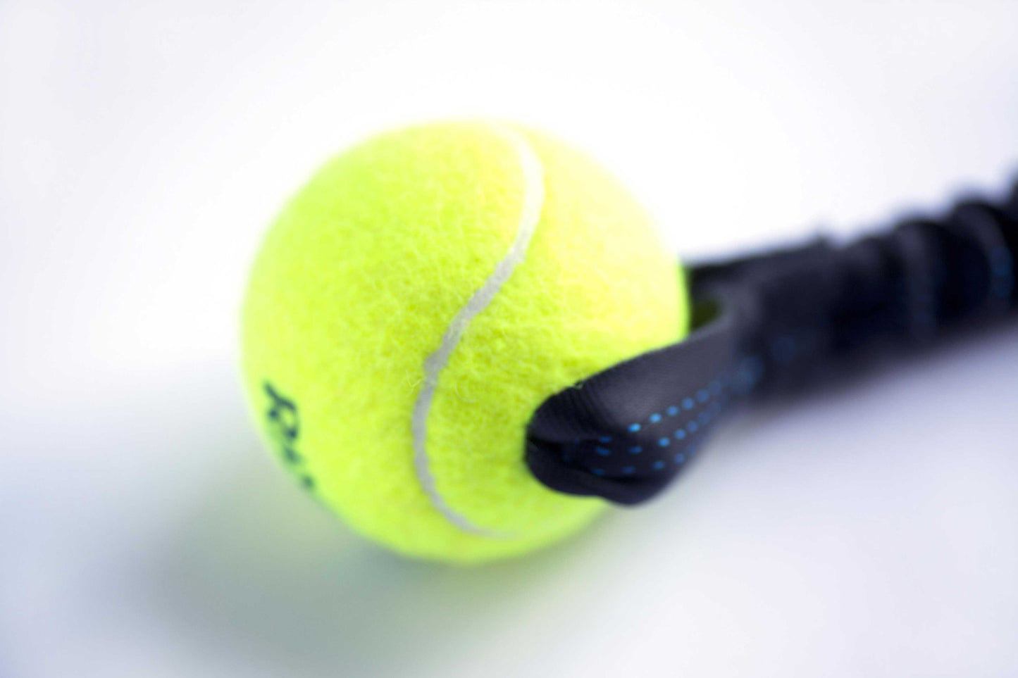 Tennis Ball Bungee