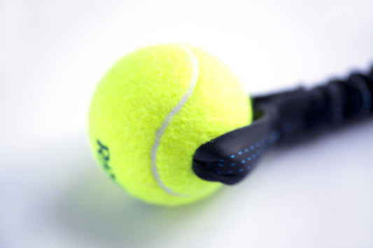Tennis Ball Bungee