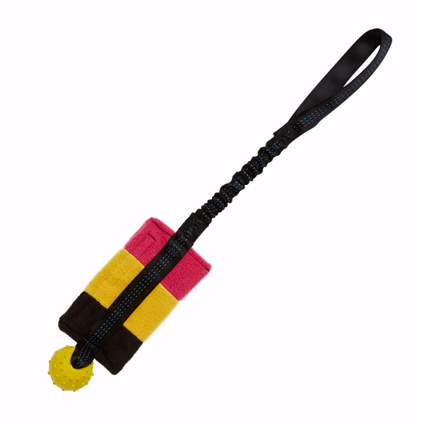 Bungee Food Bag with Rubber Ball