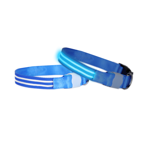 Double Trouble LED Collar