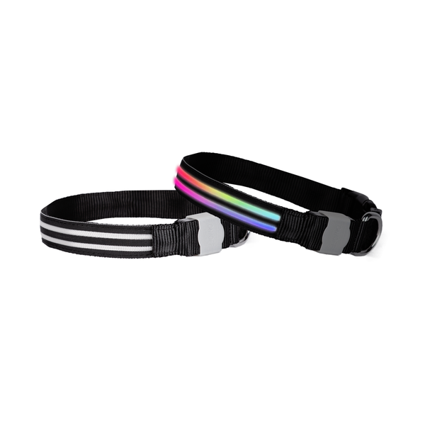 Double Trouble LED Collar