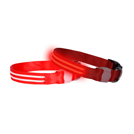 Double Trouble LED Collar