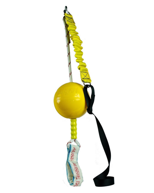 Home Alone Hanging Bungie Ball