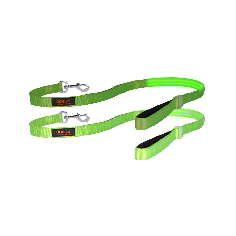 Double Trouble LED Lead