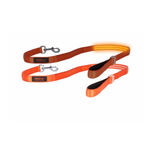 Double Trouble LED Lead