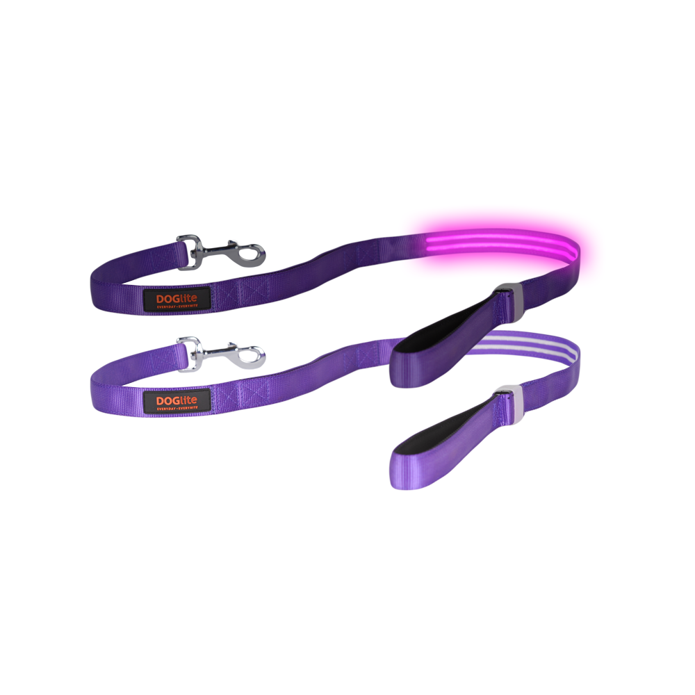 Double Trouble LED Lead