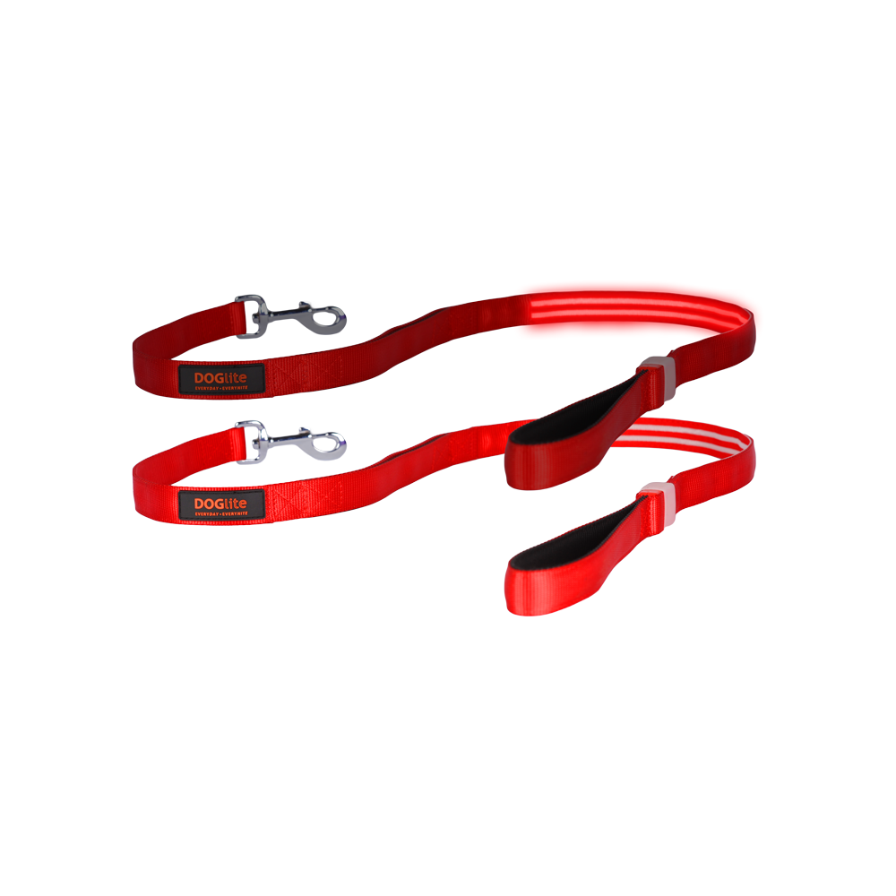 Double Trouble LED Lead