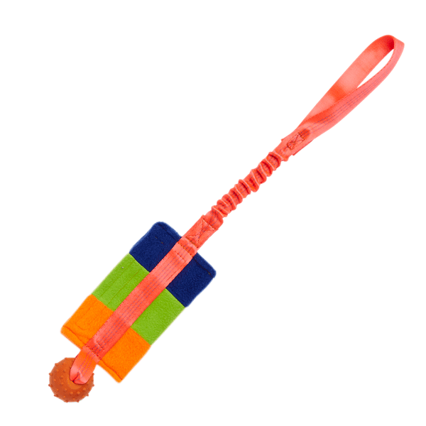 Bungee Food Bag with Rubber Ball