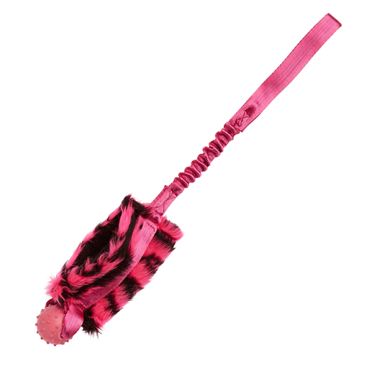 Bungee Food Bag with Rubber Ball