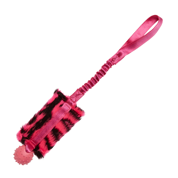 Bungee Food Bag with Rubber Ball