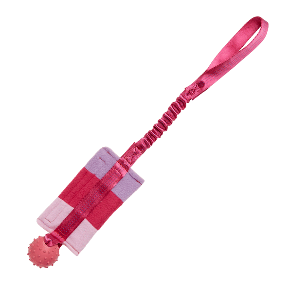 Bungee Food Bag with Rubber Ball