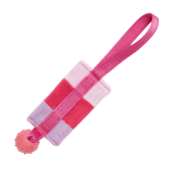 Food Bag with Rubber Ball