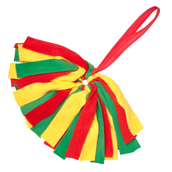 Little Tuggers - Crazy Thing