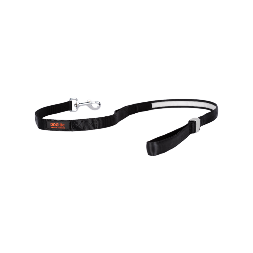 Mini Dog LED Lead