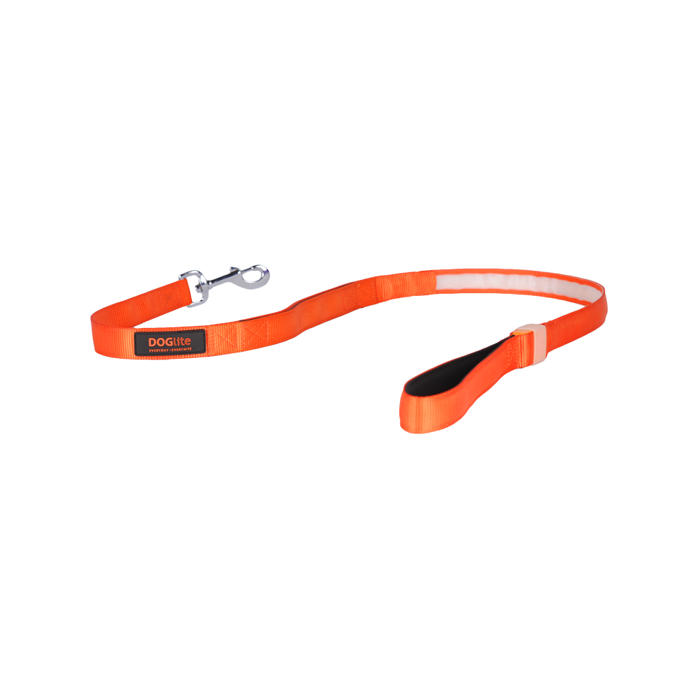 Mini Dog LED Lead
