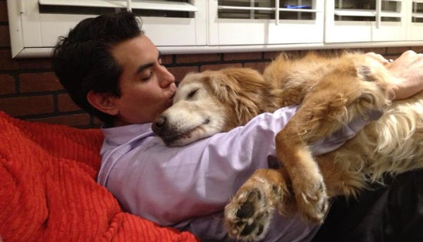 TOP TEN REASONS WHY YOU SHOULD HUG A DOG TODAY