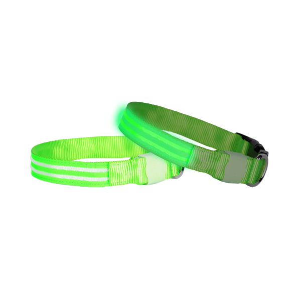 Double Trouble LED Collar