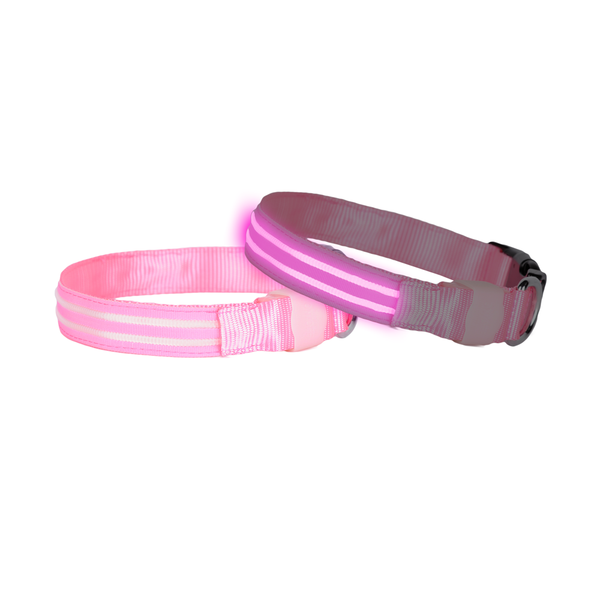 Double Trouble LED Collar
