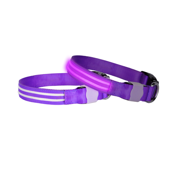 Double Trouble LED Collar