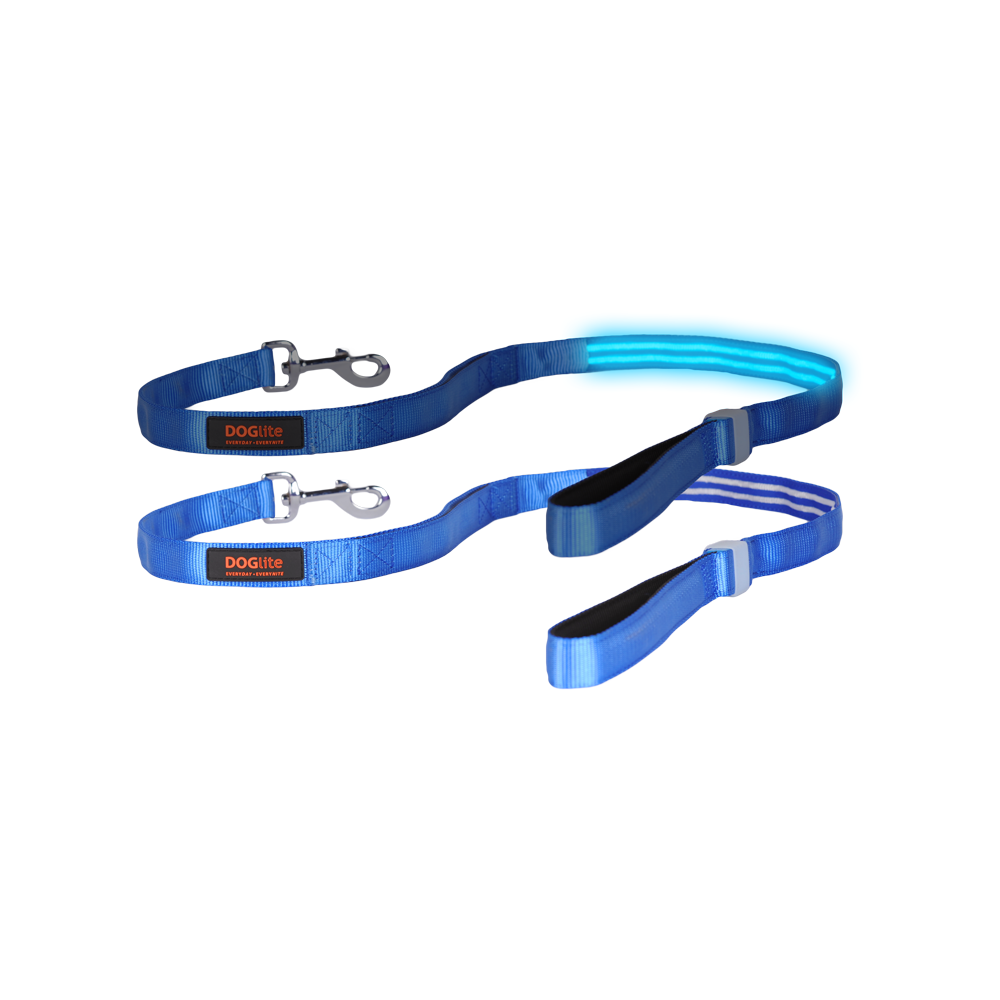 Double Trouble LED Lead