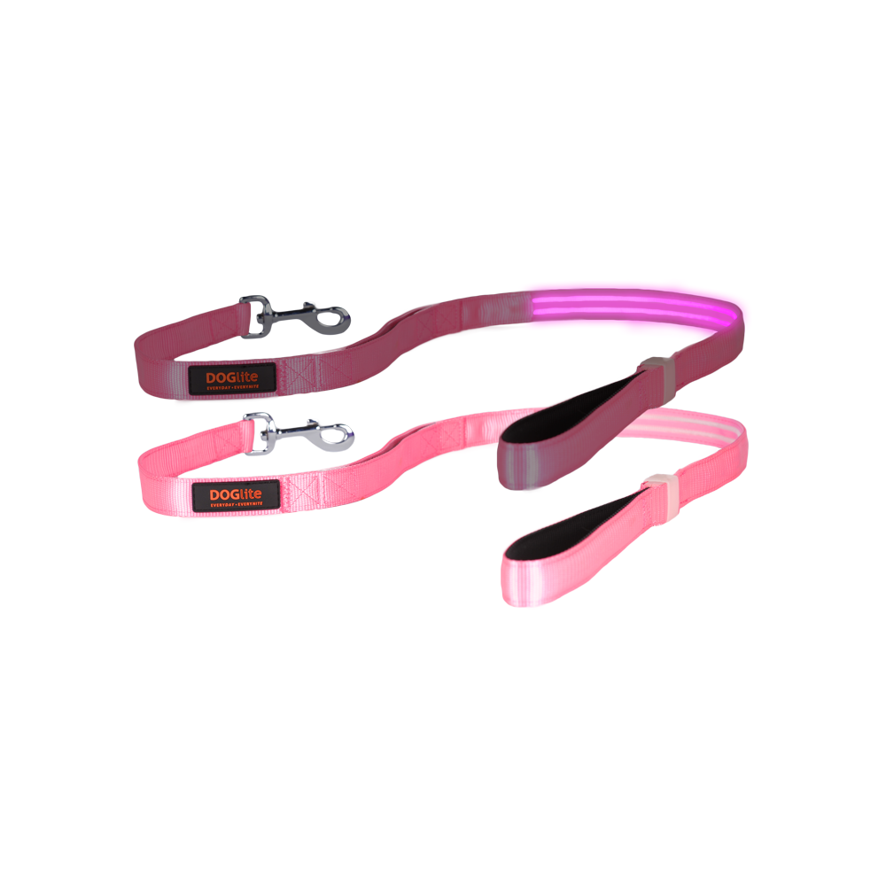 Double Trouble LED Lead