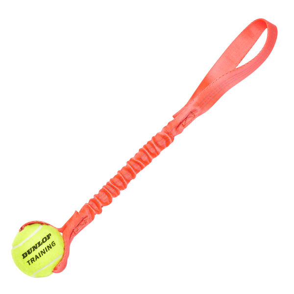 Tennis Ball Bungee