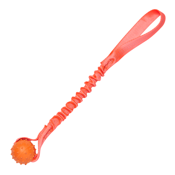 Pimple Ball Bungee