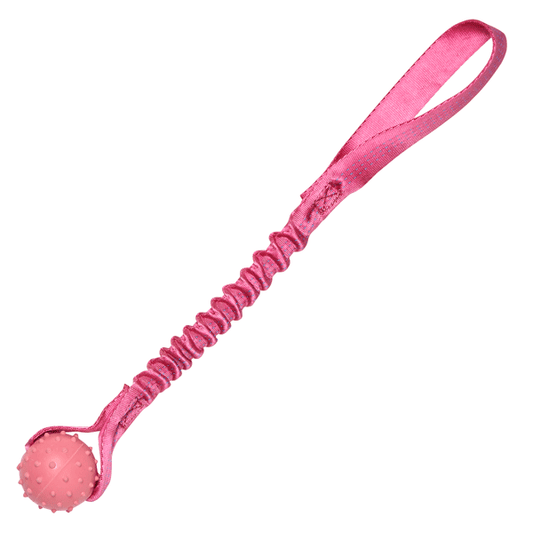 Pimple Ball Bungee