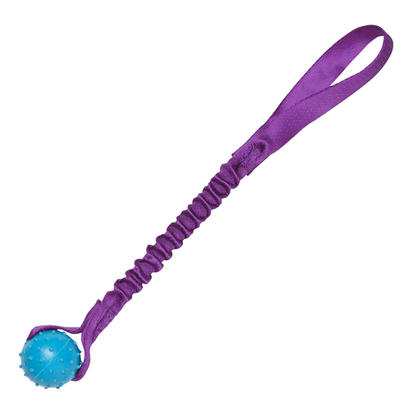 Pimple Ball Bungee