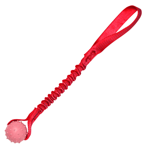 Pimple Ball Bungee