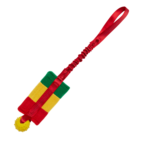 Bungee Food Bag with Rubber Ball