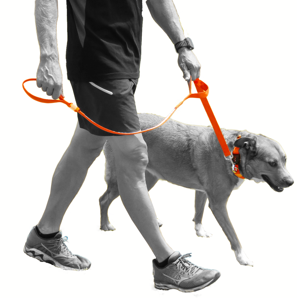 Double Trouble LED Lead