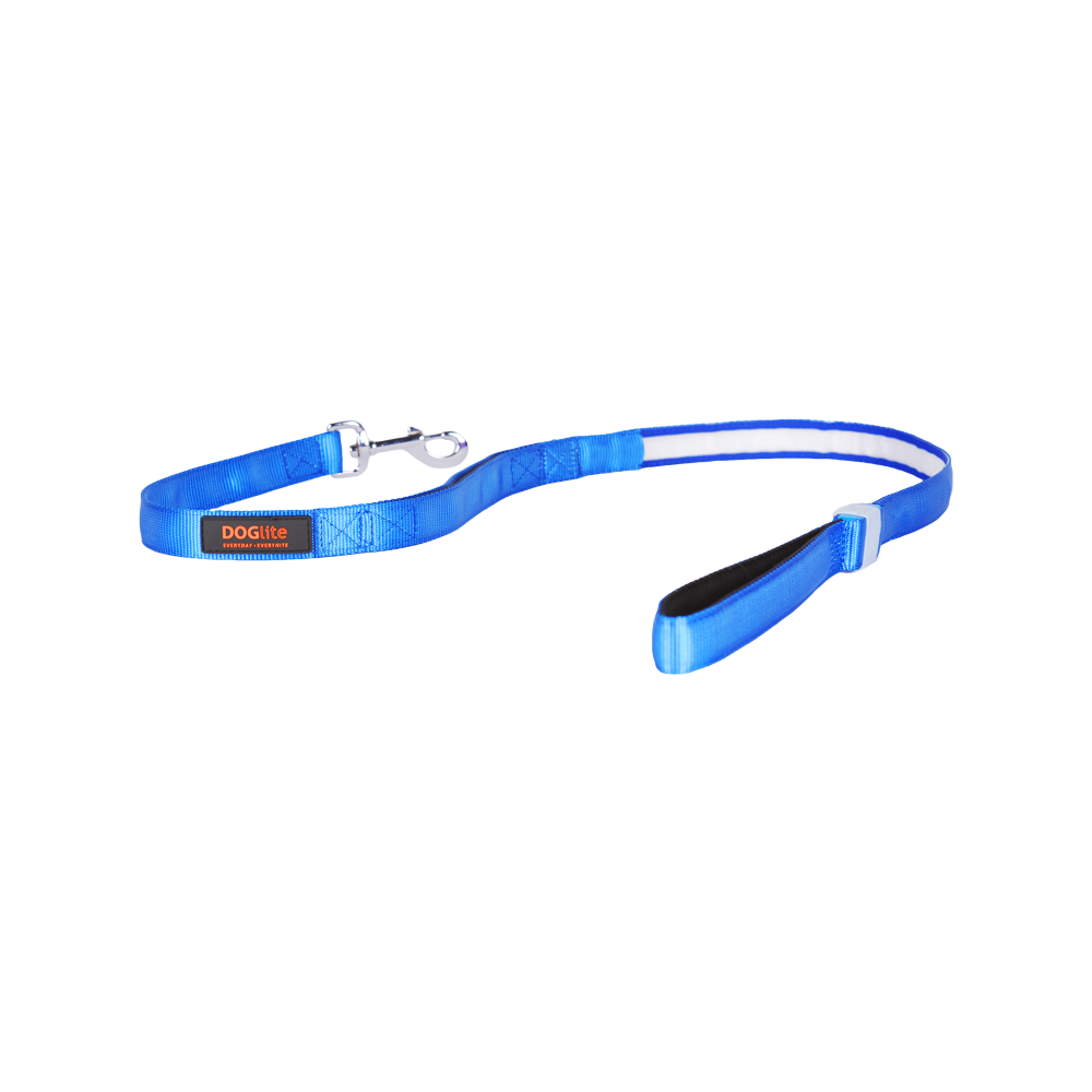 Mini Dog LED Lead