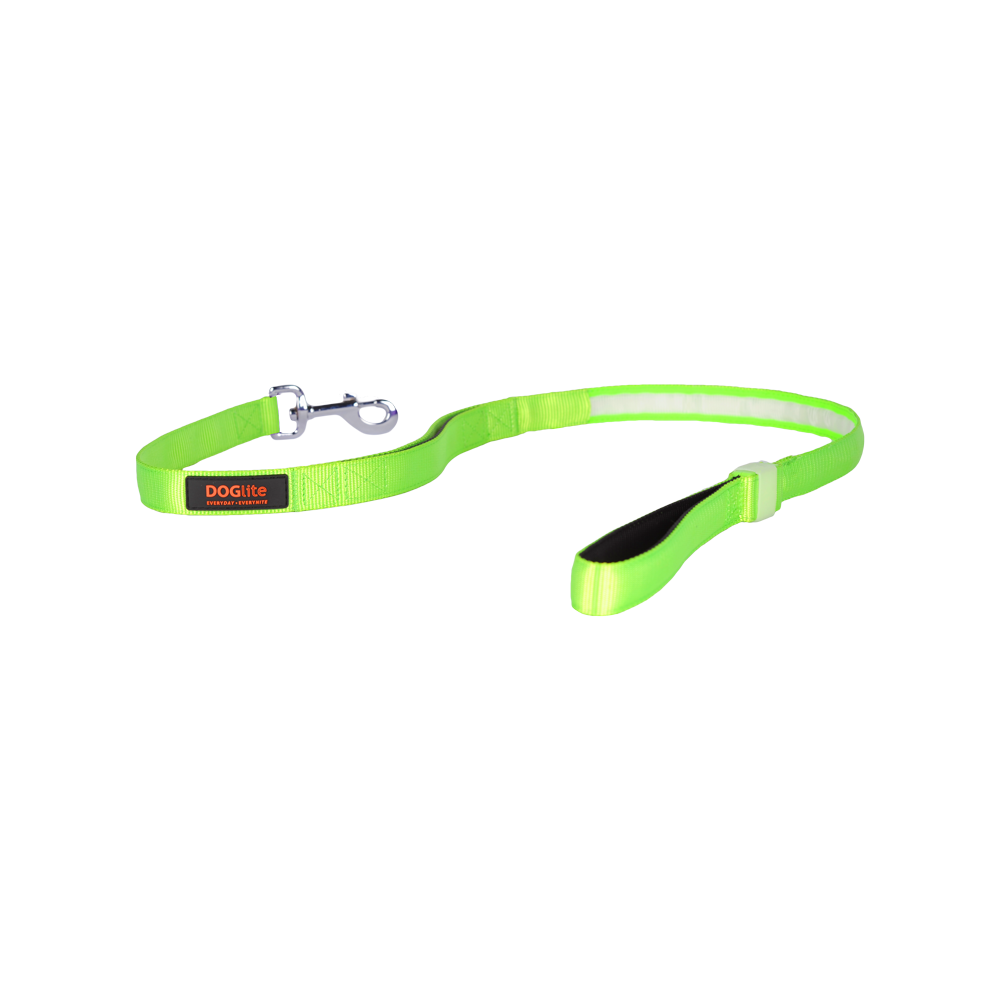 Mini Dog LED Lead