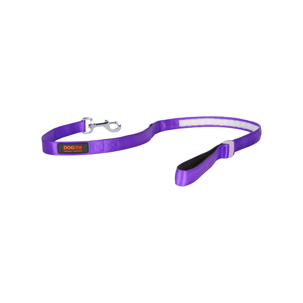 Mini Dog LED Lead