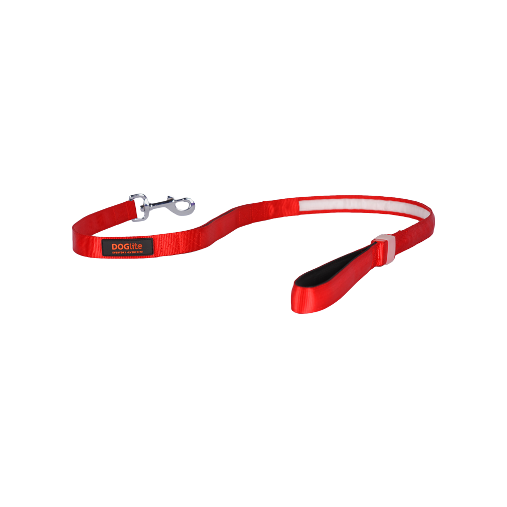 Mini Dog LED Lead